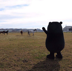 凉风子采集到霓虹·KUMAMON