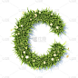 草字体字母C 3D