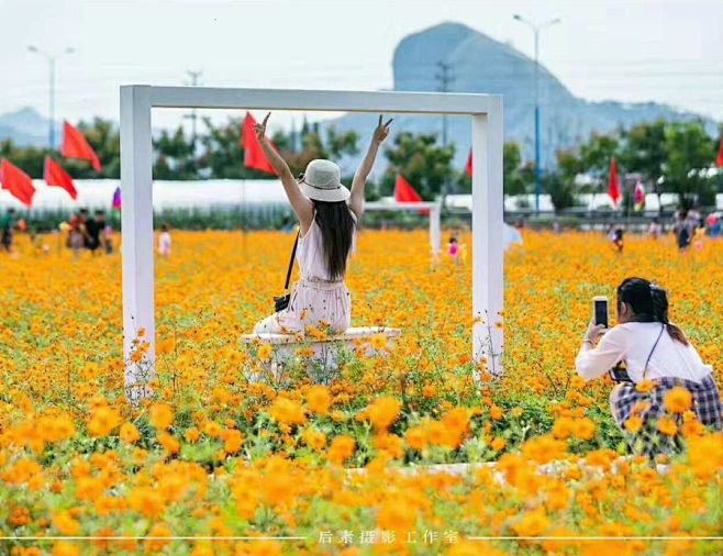 【荐读】粉色花海再来袭，未来1个月这里将...