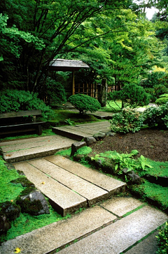 光凡达呀采集到A-景观类型-日式庭院