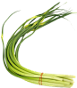 蒜苗png