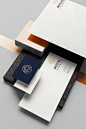 royal lion luxury stationary vietnam logo minimal animal identity branding 