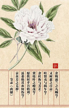 天蓝云越采集到画