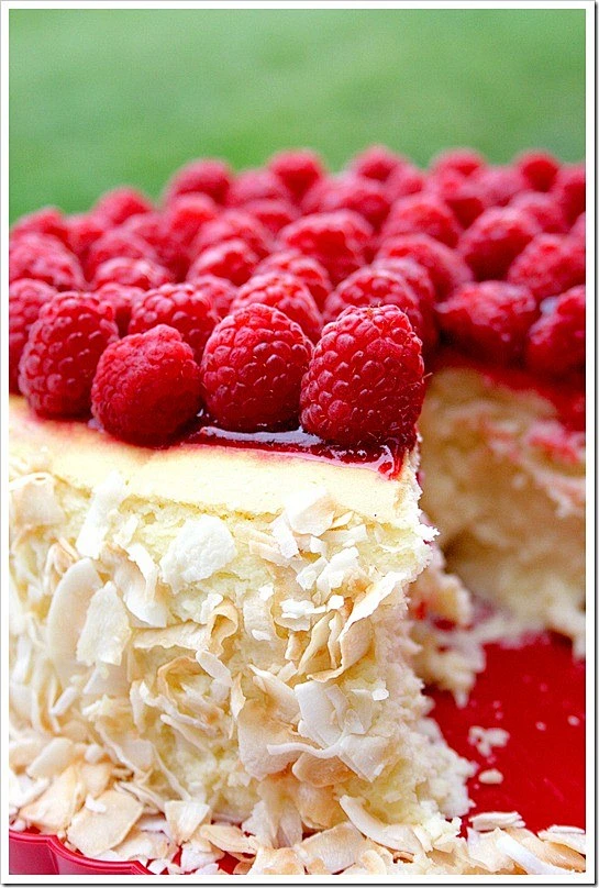 Ravishing Raspberry Coconut Squares: A Delightful Twist on a Classic Recipe