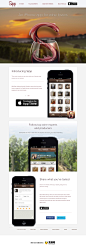 Sipp葡萄酒爱好者的iPhone应用程序，来源自黄蜂网http://woofeng.cn/