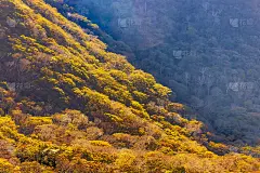 从赤木山上看秋天的山脉