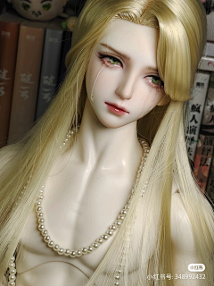 SEGAI采集到BJD