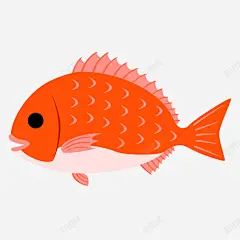 橘色海鱼手绘简图 免费下载 页面网页 平面电商 创意素材
