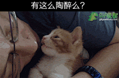 白胡椒粉采集到萌物(动物百态)