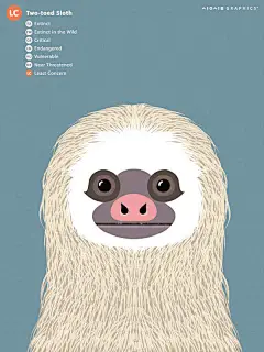 一组呼吁保护动物的海报，左上角的标识意味着这个物种存活量已经到了哪种地步，最上面的是已经灭绝的。仔细看它们的眼睛，你看到了什么？