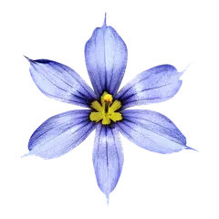image1 (89)