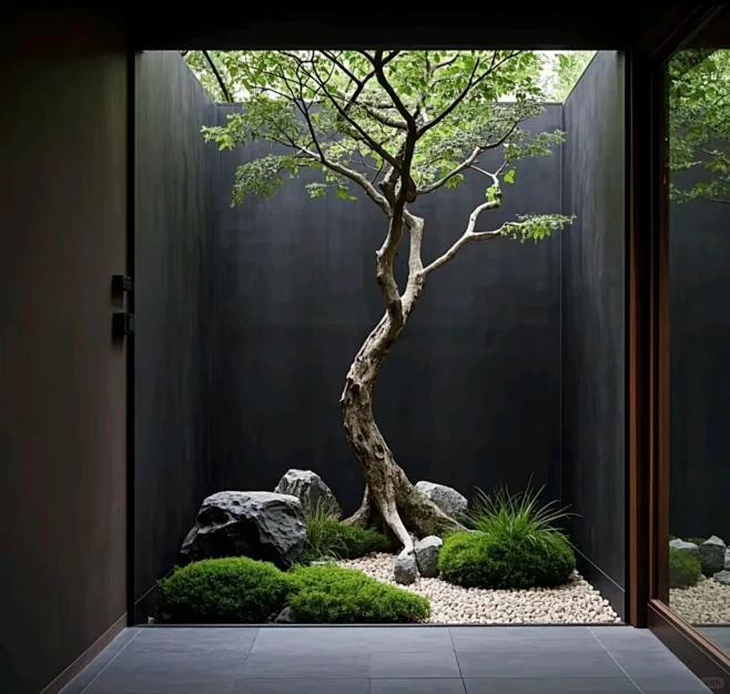 别墅天井植物造景 - 小红书-花瓣网