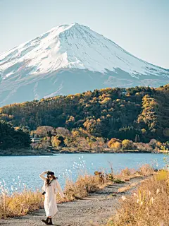走进漫画壁纸里的富士山河口湖枫叶红了 - 小红书