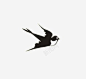 燕子高清素材 春天素材 燕子 黑色 元素 免抠png 设计图片 免费下载 页面网页 平面电商 创意素材