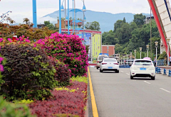 自然卷的采集到B8.市政道路