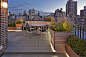 公园大楼屋顶 / Edmund Hollander Landscape Architects – mooool木藕设计网