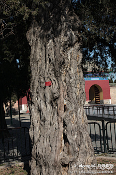 Toneyzhao采集到the temple of heaven，the heave