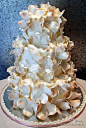 婚礼蛋糕说到蛋糕，尽管是很容易想像到明星们的婚礼上出现的大型庆祝蛋糕，但作为如今的倾向，定制鲜奶蛋糕的人却越 - 爱乐活 - 品质生活消费指南