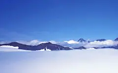 冬日雪景宽屏壁纸桌面壁纸1