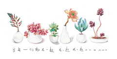 ZLA洛安采集到花世界