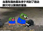 脱单好难
我最近也被小区里散养的猫猫蹭腿了，这种被需要的感觉真棒