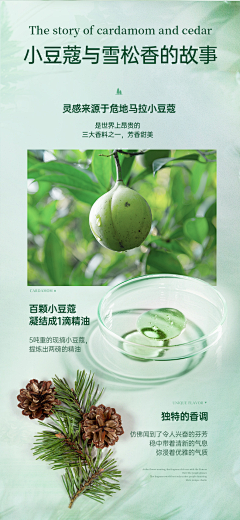 宗宗宗宗宗宗宗华_采集到详情页