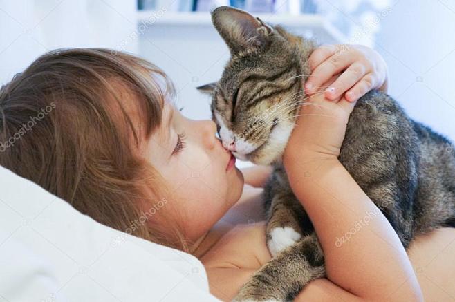 孩子亲吻一只猫