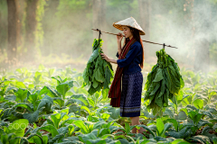 张点心-UED设计师采集到人物 模特 美女 场景