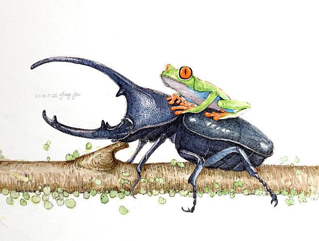 昆虫系手绘作品