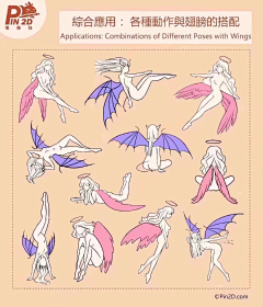 不高兴小宅采集到动物特征