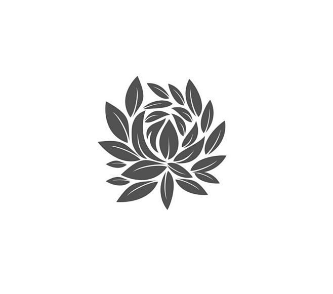 #采集大赛#一套关于茶类品牌包装系列，利...