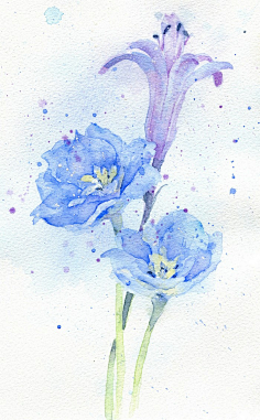 小清新素锦现代素材