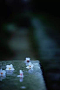911825fbjw1f2qpjgro82j20be0h3wf2