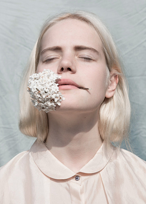 Ph. Ester Grass Verg...