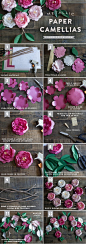 Paper Camellia Tutorial - by Lia Griffith: