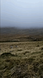 f77c05e1b421bbdbb75f61fa1c8778ac.gif (264×480)