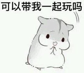 二次元仓鼠表情包_360图片