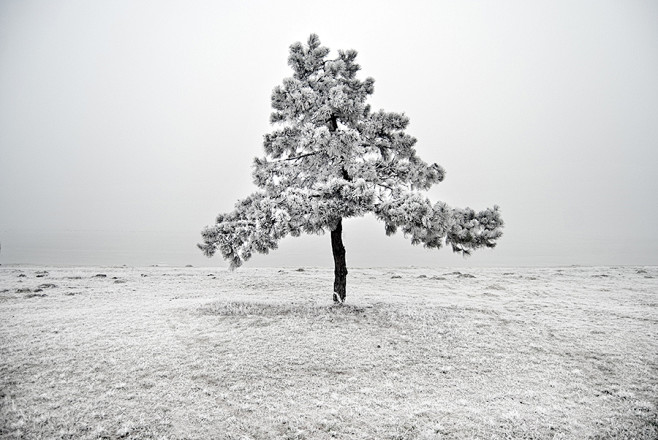 White