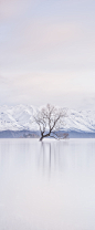 Timothy Poulton