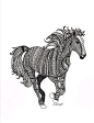 Black and White Zentangle Wild Horse drawing