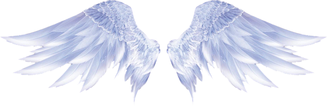白色翅膀2