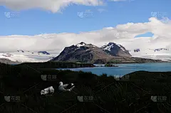漂泊信天翁夫妇