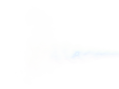 Forest-Y采集到PNG