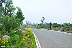 sherryhaa采集到景观 | 道路