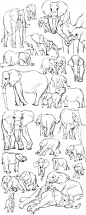 Blog of Boris: 30 Elephants via PinCG.com