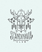 SCANDINAVIA CLUB. Illustrations : Illustrations and T-shirt designs for Scandinavia club, Moscow. http://www.scandinaviaclub.ru/