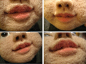 Needle felted lips ...merino wool