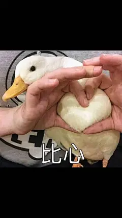 (16 条消息) 表情包 - 搜索结果 - 知乎 : 有问题，上知乎。知乎，可信赖的问答社区，以让每个人高效获得可信赖的解答为使命。知乎凭借认真、专业和友善的社区氛围，结构化、易获得的优质内容，基于问答的内容生产方式和独特的社区机制，吸引、聚集了各行各业中大量的亲历者、内行人、领域专家、领域爱好者，将高质量的内容透过人的节点来成规模地生产和分享。用户通过问答等交流方式建立信任和连接，打造和提升个人影响力，并发现、获得新机会。