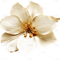 白色花朵17
