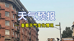 -小柒采集到信息流【横】
